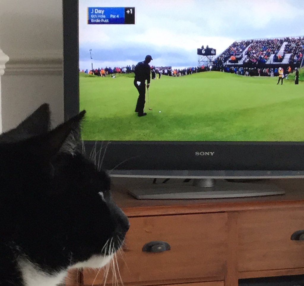 kenneth_cat's tweet photo. When will it ever end? #TheOpen https://t.co/rb4M8z1Nv6