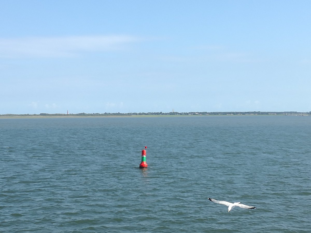 jfageelhoed's tweet photo. Weer terug op het Groninger vastenland na een dagje Schiermonnikoog. #rozig #moe maar #voldaan https://t.co/CY4LVhG5h1