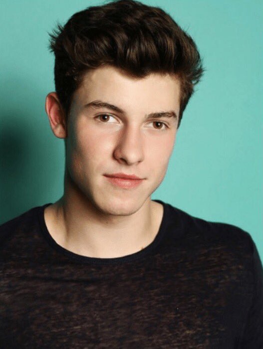 Happy birthday \"boss\" i hope your bday is full of shawn mendes and katy perry classics   