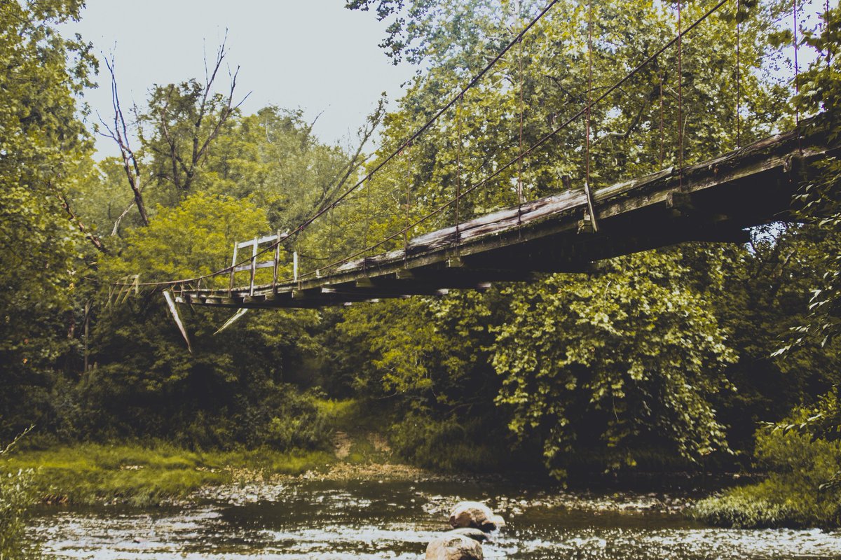 BransonKurtz's tweet photo. Lets go on an adventure 🌲 https://t.co/F6JKpSMhL9