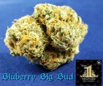 the1delivery's tweet photo. Blueberry big bud along with too many other great strains on the menu right now check us out! #Eastbay #PatientsOnly #215Compliant https://t.co/boCRRTE3uG