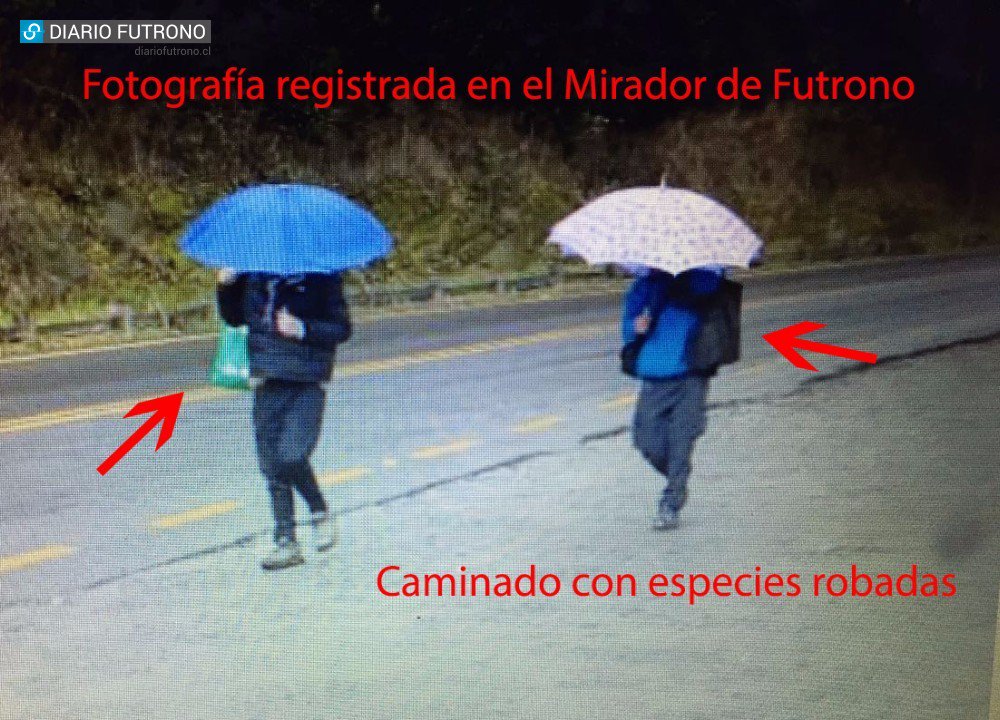 DiarioFutrono's tweet photo. Los errores que precipitaron la caída del dúo que robó varias casas en Futrono #valdiviacl #casopolicial #justicia https://t.co/ozIvUGMIqv https://t.co/gNuC1x8bPt