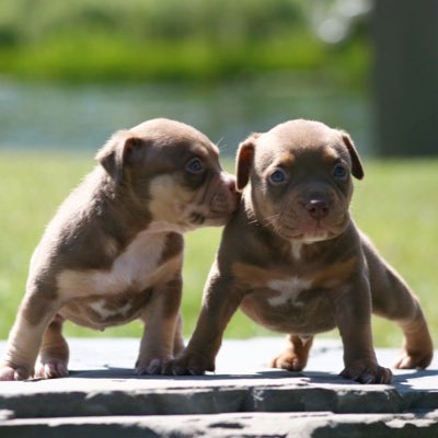 Gooch88_'s tweet photo. #NewProfilePic https://t.co/jasQq0TnA0