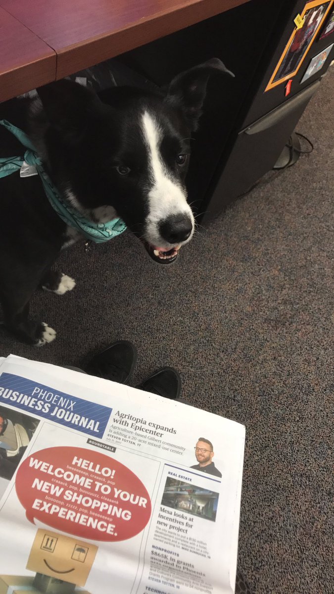 ChopperFach tweet media