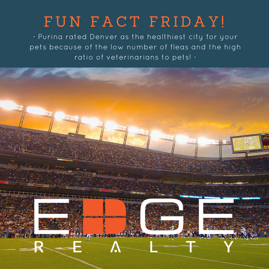EdPratherRE's tweet photo. Probably doesn't hurt that Purina's in #Denver, too! #FunFactFriday #ItsFriday #EdgeRealty #PetFriendly #DenverLovesPets https://t.co/hY05ymnTA6