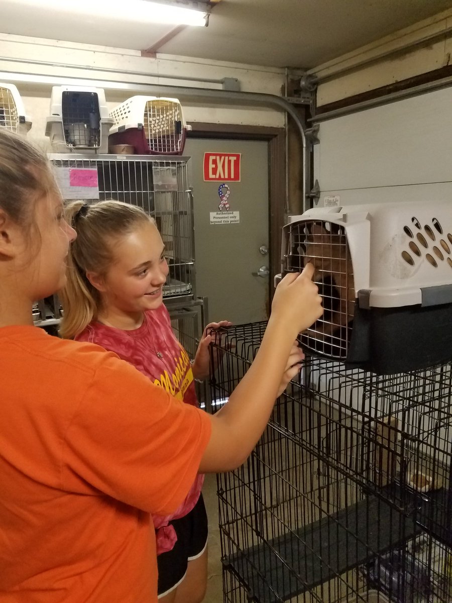 hapimom54's tweet photo. Group #7 cleaned, built and loved today at Kankakee County Animal Control # CampMOSH2017 https://t.co/sCs1eK2Bez