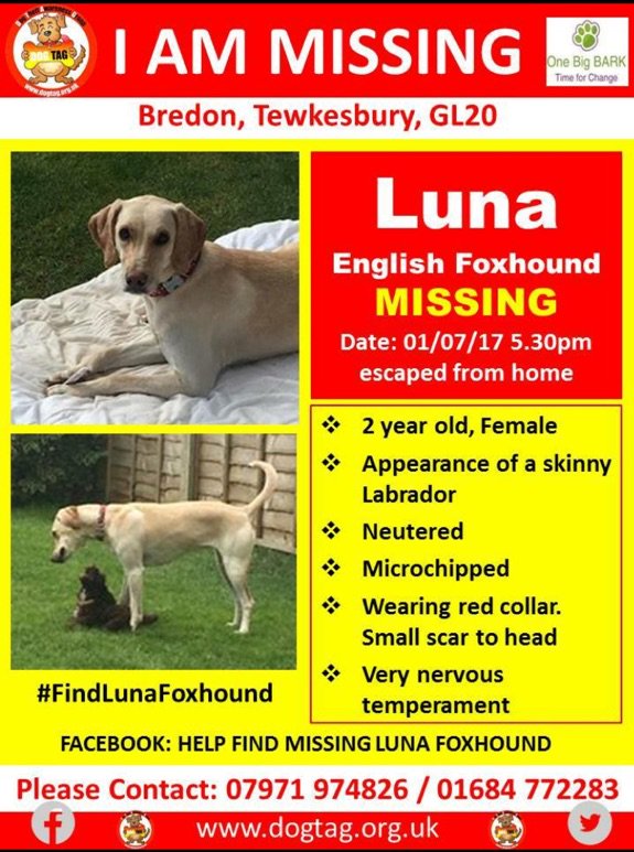 Helen grainger tweet media