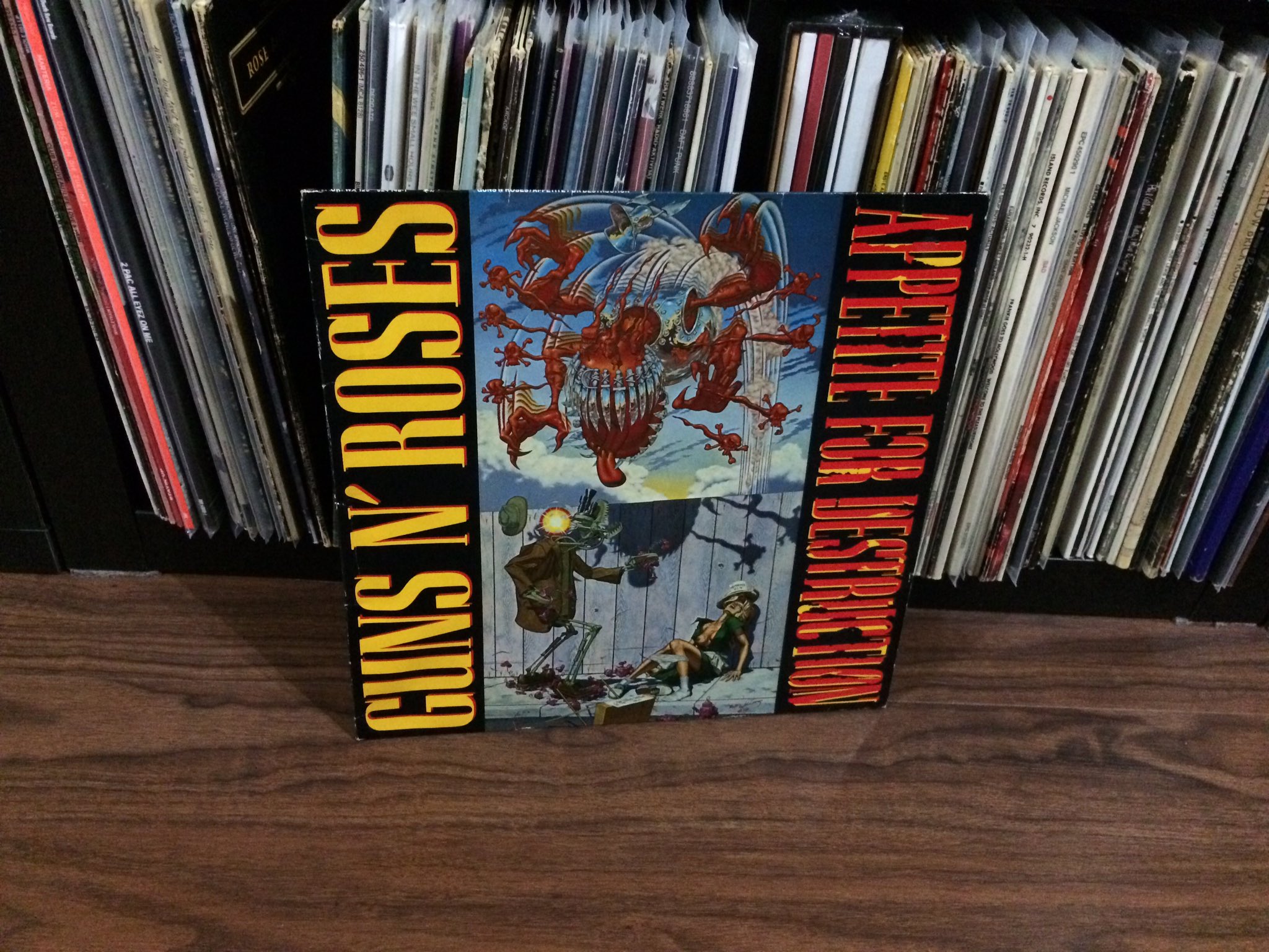 30 years, Happy Birthday  \Appetite For Destruction\   