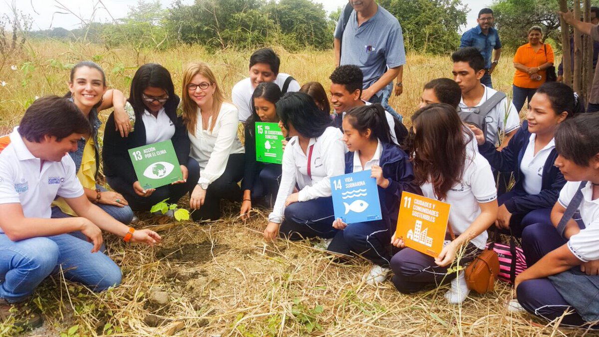 ambienteguayas's tweet photo. Los estudiantes de @ColegioAFA plantaron muy entusiastas su árbol al cual llamaron Amarilis en honor a su colegio #GuayasSembrando https://t.co/unxE9dfoG1
