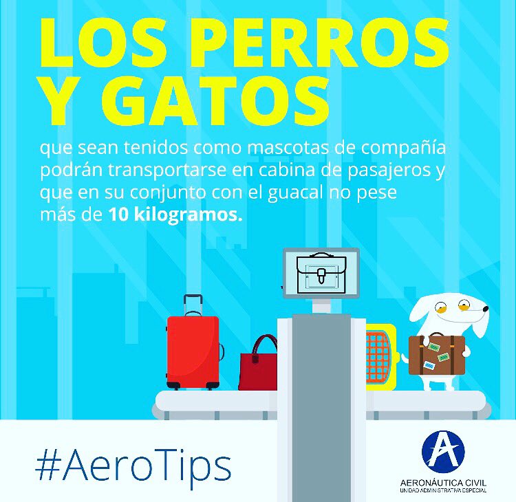 EasyTravelssas's tweet photo. #Aerotips #Perros y #Gatos #mascotas de compañia https://t.co/O3PVnamh3j