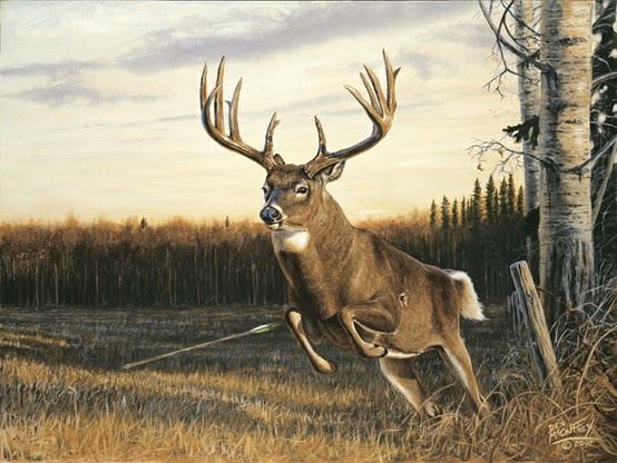 Crossbow Productions tweet media