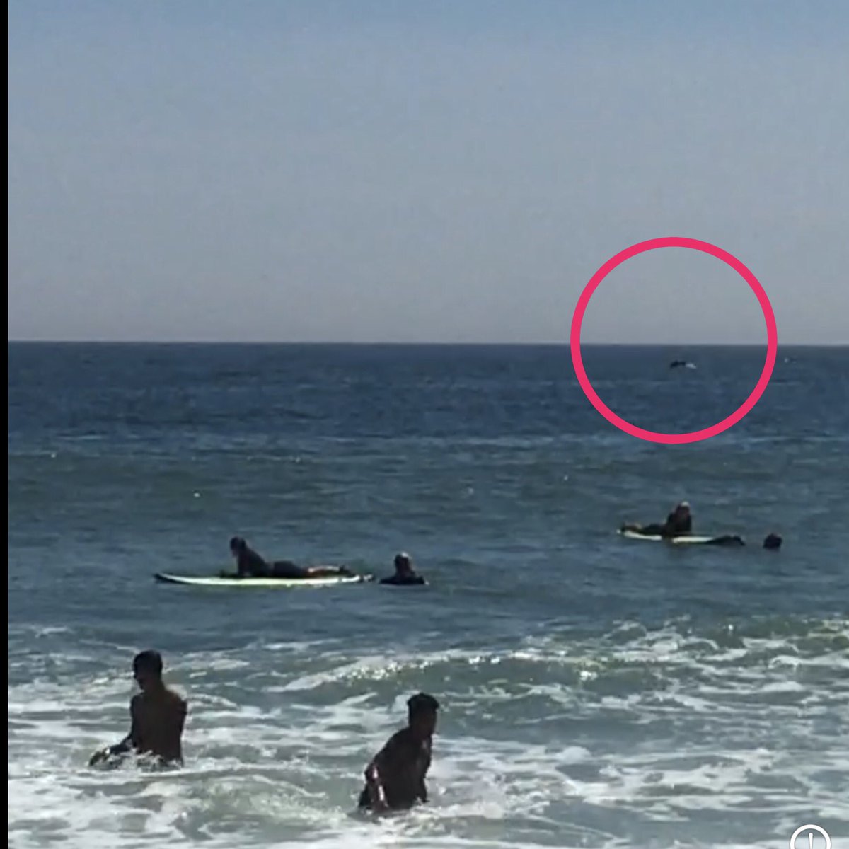 nyterps's tweet photo. When your daughter &amp; her friend are photobombed by a whale in Nobadeer! #ack #nantucketwhales #ACKSurf #Nobadeer https://t.co/9b6QE7ooqg