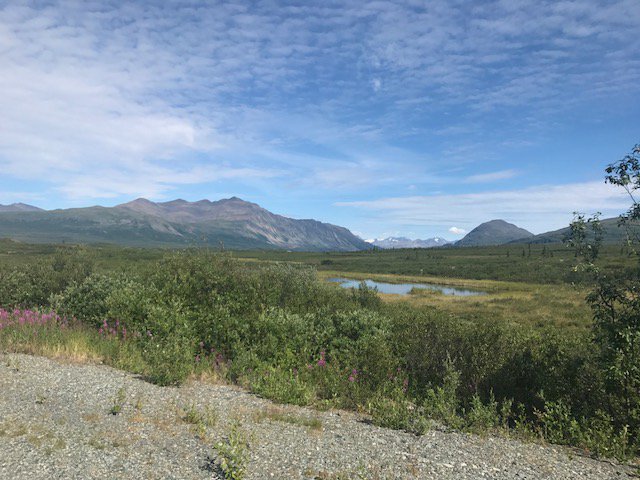 SHIRLEY LOST HER SHIT tweet media