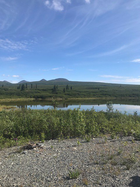 SHIRLEY LOST HER SHIT tweet media