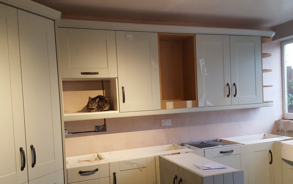 bestcatintown's tweet photo. Cat bed or microwave?  
Kitchen designers take note of this new multipurpose cupboard 🐱 https://t.co/xxz2JEUZqh