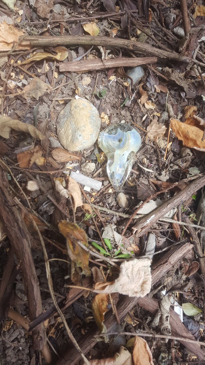 ms_hendy's tweet photo. Today in adventures in #Landscaping I found a broken pipe. #Seattle #strangeShit https://t.co/nDgcWEmyJ1