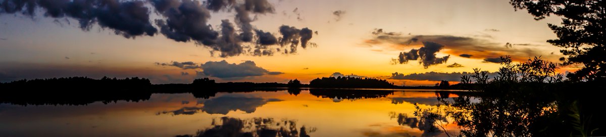 johnephoto's tweet photo. Willow Flowage #mkephotographer #photography #johnephoto #ig_milwaukee #travelwisconsin #sunset https://t.co/VNdriYiiIO