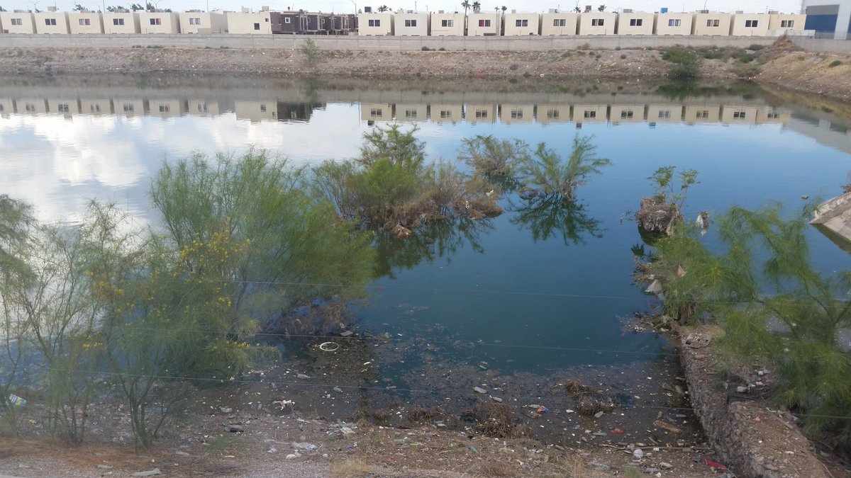 COscar79's tweet photo. @MunicipioJuarez alguien del municipio se encarga de limpiar los vasos de captacion? https://t.co/JqOuS6jYPA