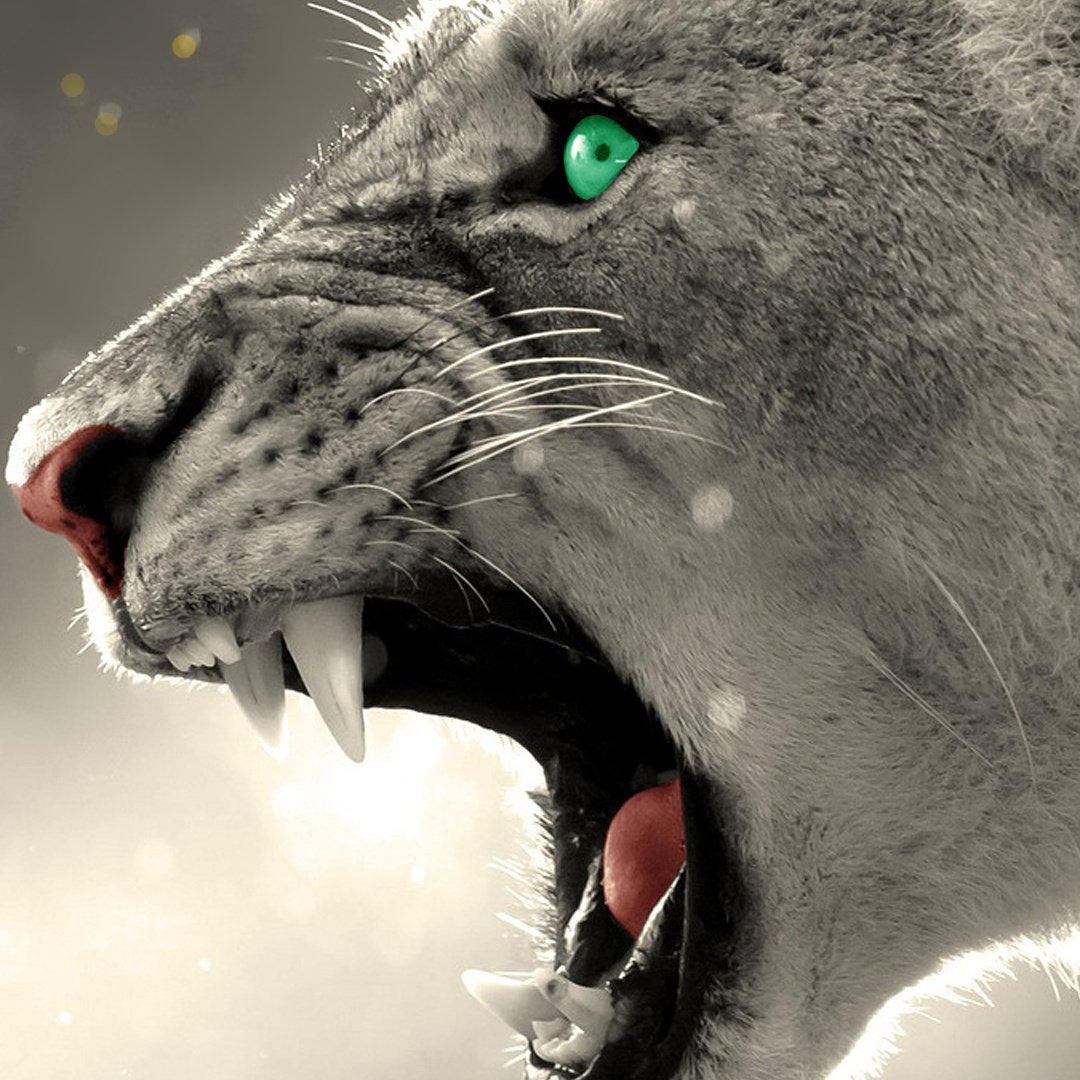 AdvAms's tweet image. 