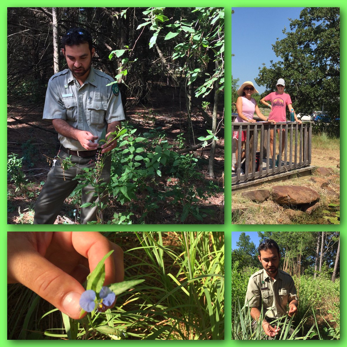 MayV1's tweet photo. Outdoor Inquiry at Lake Ray Roberts with Ranger Rick @PriscillaShaner @RJLrichter @NetZeroLee #ITEMizing edible 🌱 https://t.co/IuIkJBHKiJ
