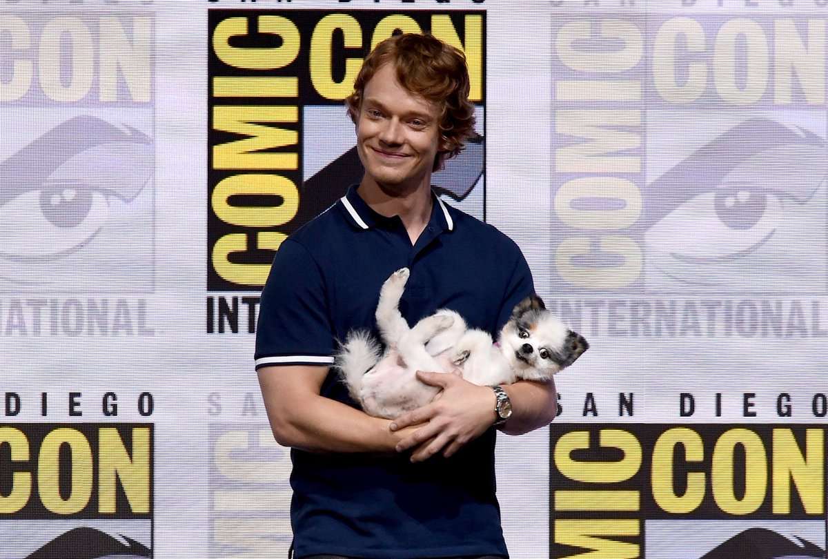 Rachel Paige tweet media