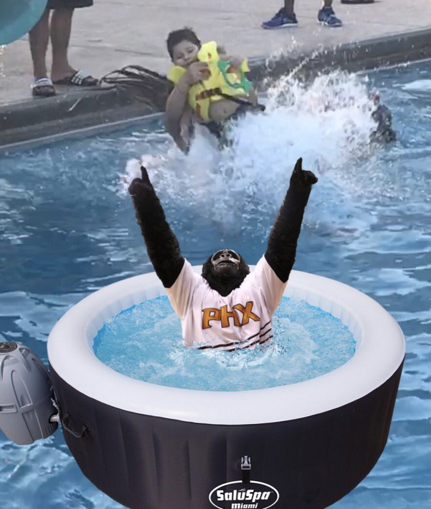 1nkognito_'s tweet photo. Summer Swimming lessons @Suns @lossuns the gorilla 🦍 approves #BestwaySummer https://t.co/Z0ef8lCsrW
