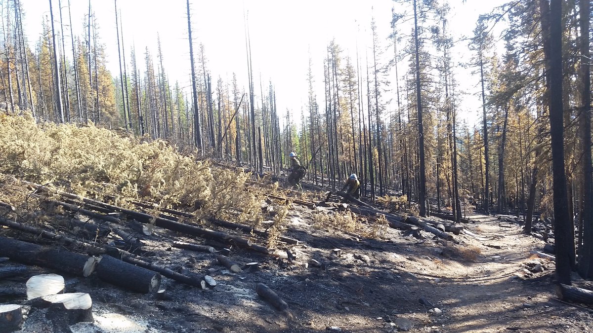 SummitCountyGov's tweet photo. “The crews conducted a lot of good work this past week on the Miners Creek trail,” Adam Bianchi said. https://t.co/DSSo2mBNAs #Peak2Fire https://t.co/t7MwNGZmga