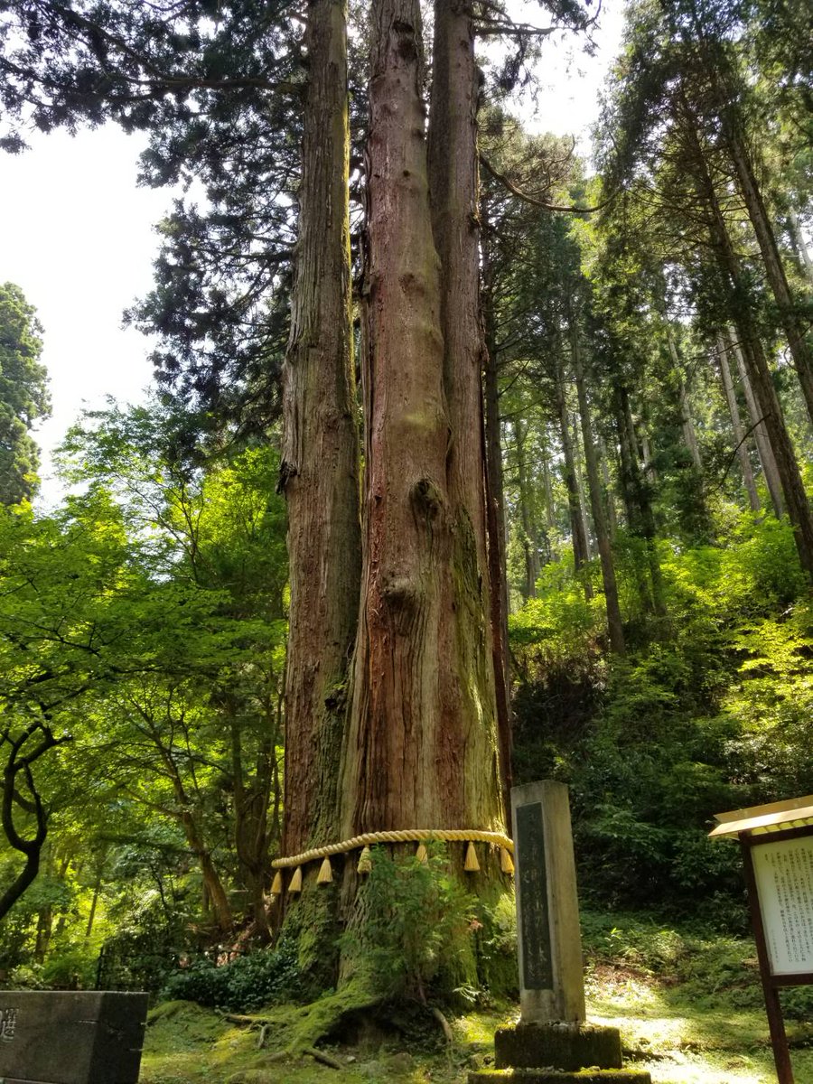 ゆみちゃん Auf Twitter 茨城県にある御岩神社です アポロ宇宙飛行機より 日本に光の柱確認されたパワースポット神社 頂上には 携帯で写すと人によっては違う色に写るという赤い石があります こんかいは 赤く写りました 肉眼では こんなに赤くありません ゆみちゃん Auf Twitter 茨城県にある御岩神社です アポロ宇宙飛行機より 日本に光の柱確認されたパワースポット神社 頂上には 携帯で写すと人によっては違う色に写るという赤い石があります こんかいは 赤く写りました 肉眼では こんなに赤くありません