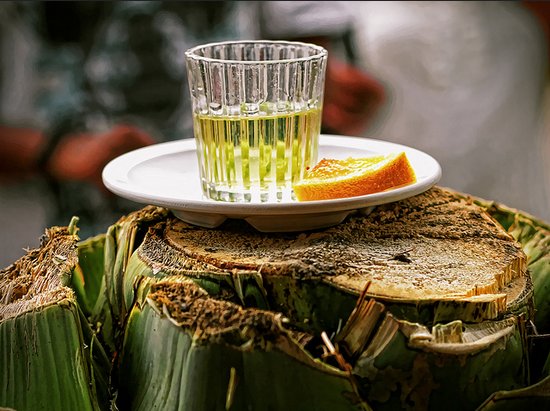 #SoyAntiTaurino (@bastatauromakia) on Twitter photo Me voy a tomar un mezcal ... ahhhhh es CULPA DE LOS ANIMALISTAS ¡¡¡ cc <a href="/ftorodelidia/">Fundación Toro Lidia</a> jajajaj Me voy a tomar un mezcal ... ahhhhh es CULPA DE LOS ANIMALISTAS ¡¡¡ cc <a href="/ftorodelidia/">Fundación Toro Lidia</a> jajajaj