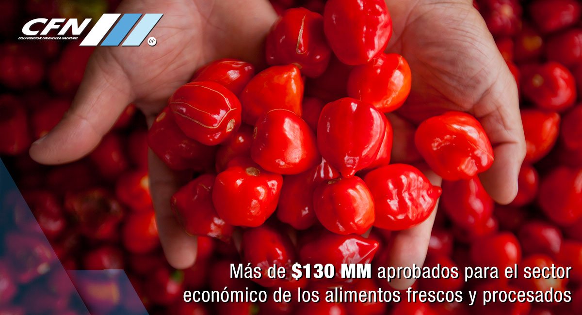 CFN_ECUADOR's tweet photo. En lo que va del año hemos aprobado más de $130 MM para el desarrollo de esta industria #FinanciamientoProductivo https://t.co/XaboUpTKlB