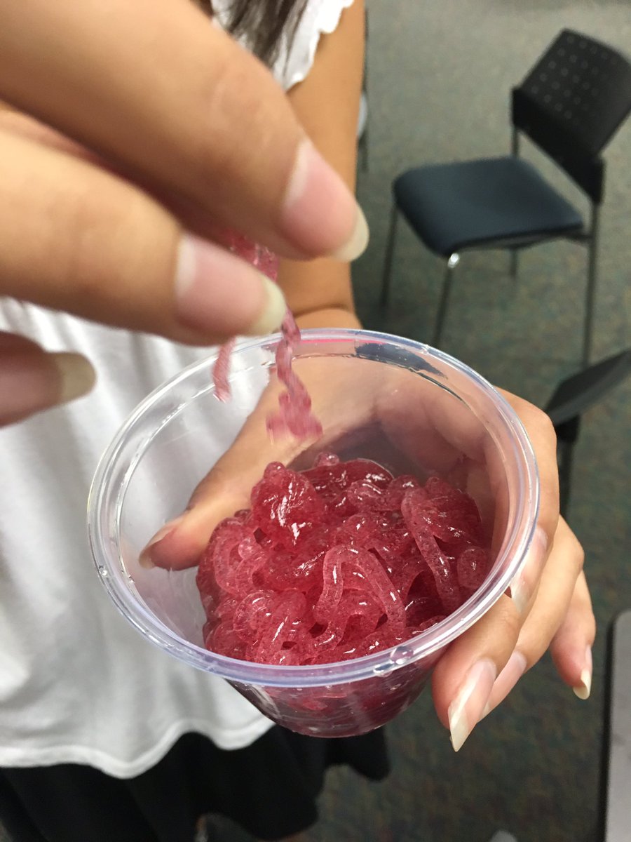 chris_redemske's tweet photo. It's a wrap! #RPSHAL camp @RalstonMS - Ss researching careers, making juice noodles, & social media business with Brad from @OliverRidgeCo https://t.co/uTucMuj8Ce