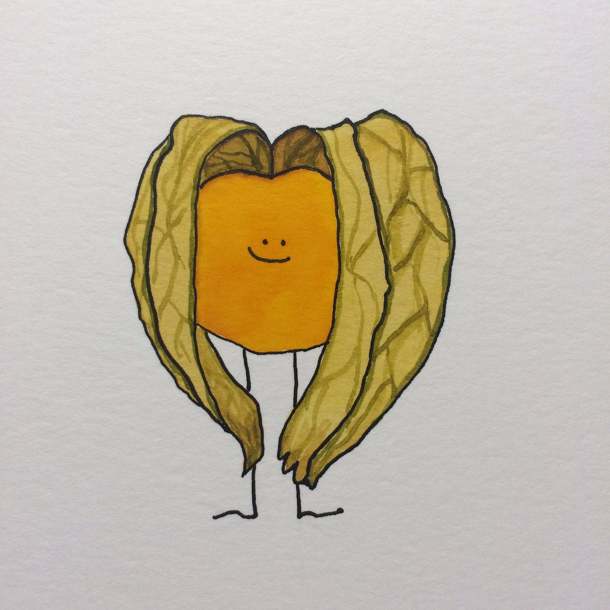 ruthielafond's tweet photo. 16/31 Phyllis the ground cherry playing peekaboo! #ruthiedrawsfruits #cherriesandberries #groundcherry #kidlitart #illustration #peekaboo https://t.co/xmur6M9vjZ