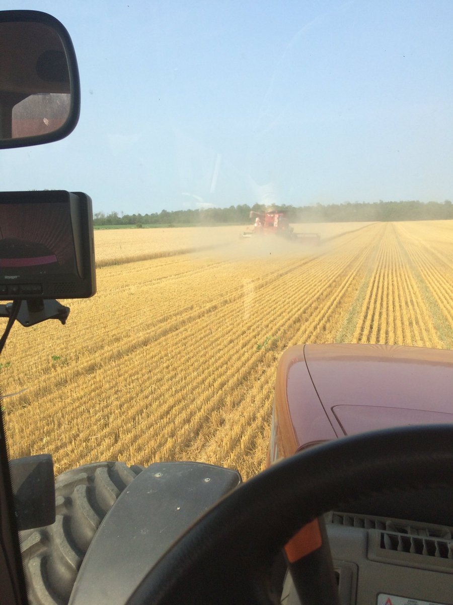 Alex Zelem tweet media