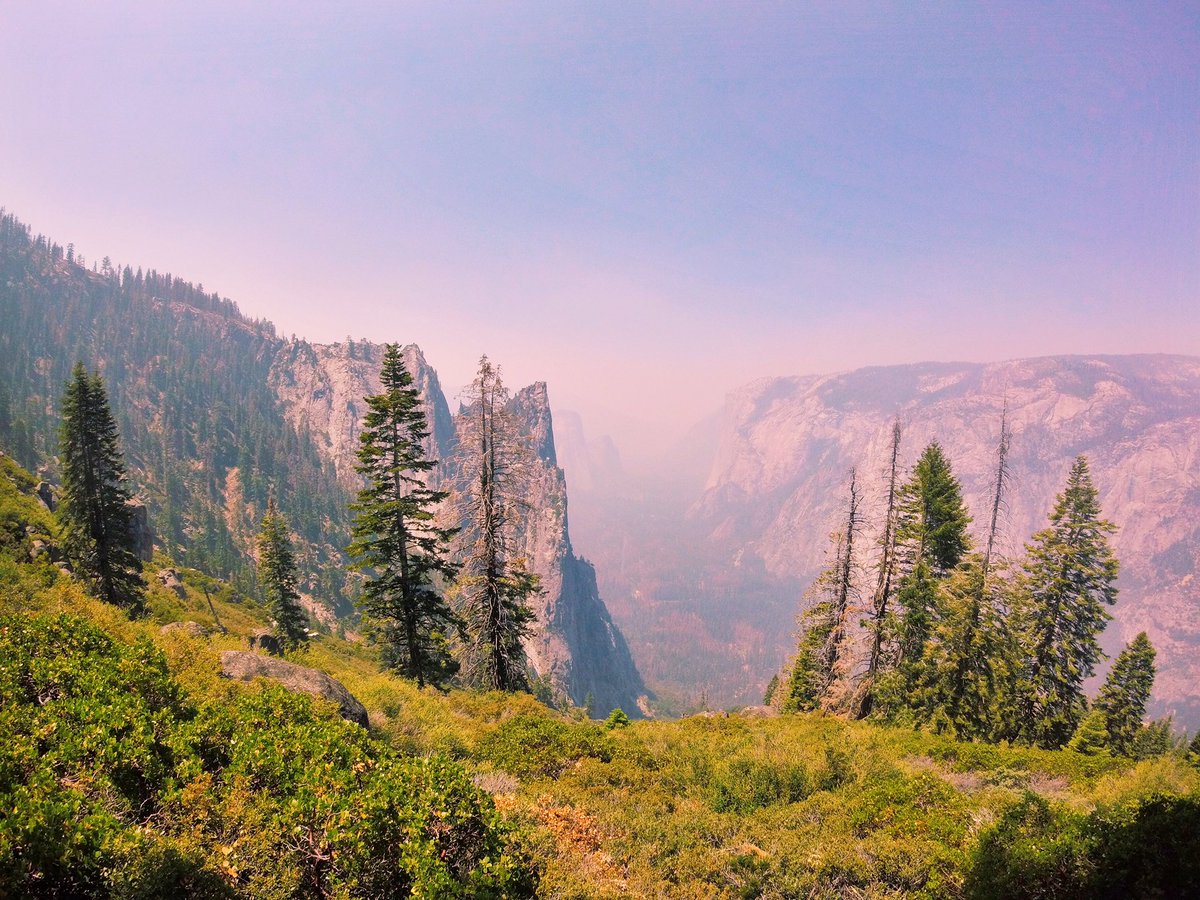 trail_flow's tweet photo. #DetwilerFire haze in Yosemite Valley https://t.co/vs6qsshqx6