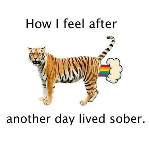 artesian_wrc's tweet image. We made it to Friday! 🙌🏻 #onedayatatime #TGIF