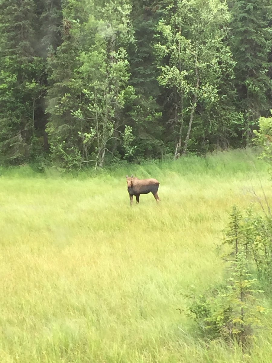 ALEXRINK1999's tweet photo. North to Alaska! https://t.co/MKvbyThmMC