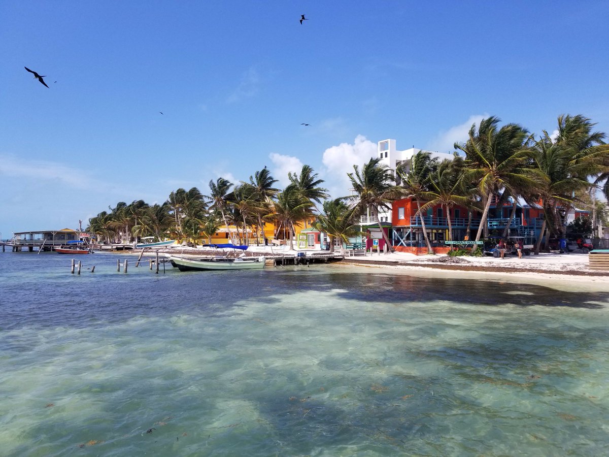 EliteToursAbrd's tweet photo. If you've had enough of the noise of the US... there's always BELIZE! Ask about our relocation tours 😎🌴🍹#AmbergrisCaye #LifeAbroad https://t.co/oX90U2zc1S
