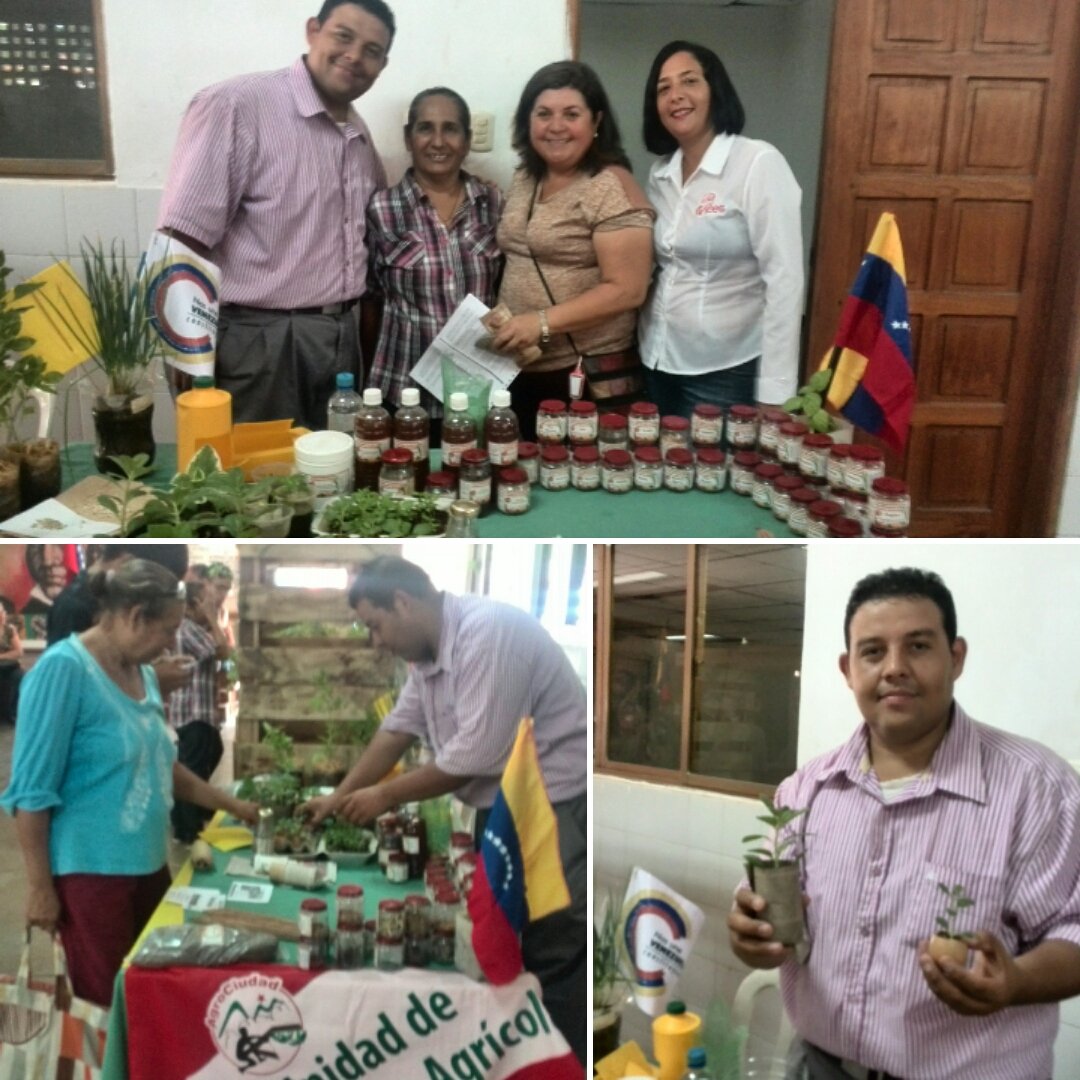 viloriamiguel0's tweet photo. @inceszulia @JauaMiranda @WuikelmanAngelP @RICHARDINCES @ogledar @Incesocialista @MPPEDUCACION @EducacionZEZ @cai64 @Anuiky @InvezGBZ Excelente jornada @Incesocialista ,@inceszulia @WuikelmanAngelP sigamos impulsado Agricultura Urbana  invitar a  @IUTMoficial @CvaupZulia https://t.co/20GqWrwHaK