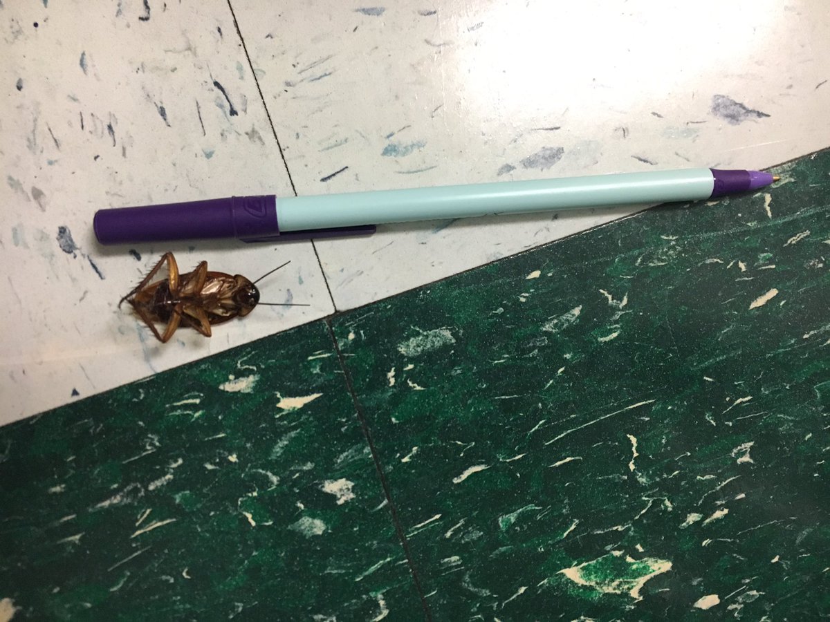 When you have to leave the dorms at <a href="/SLU_Official/">Saint Louis University</a> <a href="/UDAnews/">UDA</a> <a href="/VarsitySpirit/">Varsity Spirit</a> camp because there are roaches everywhere.... hotel here we come!