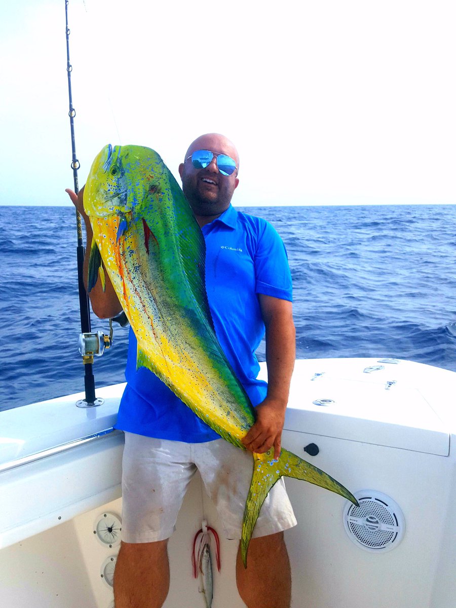 NataleRalph's tweet photo. #mahi #canaveral https://t.co/ijTQjrqwfp