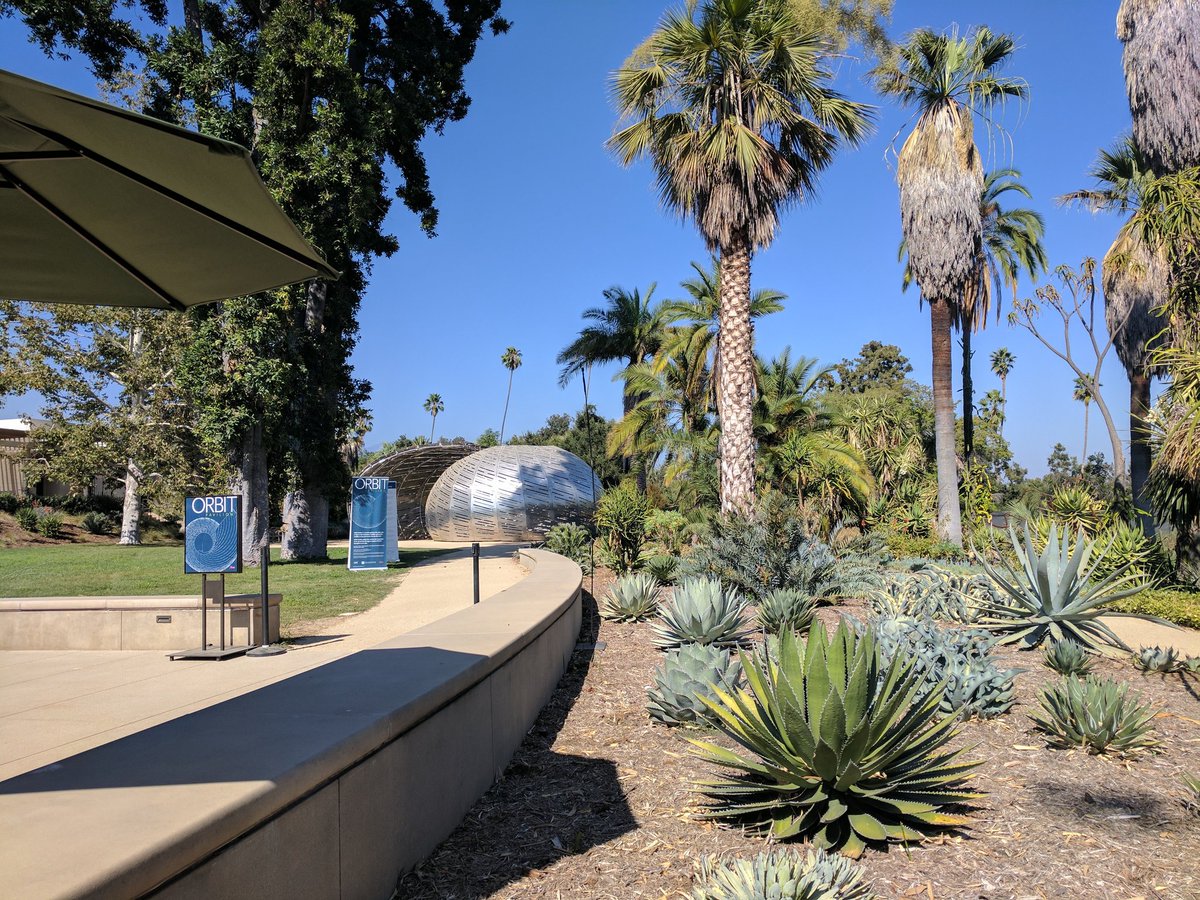 jhjones's tweet image. Docent: where you going? Me: Australia. Docent: Go thru Palms, Jungle, Lily Ponds, to Australia. #ThingsYouSay @TheHuntington