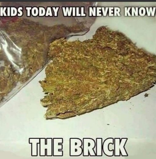 WittyShow tweet media