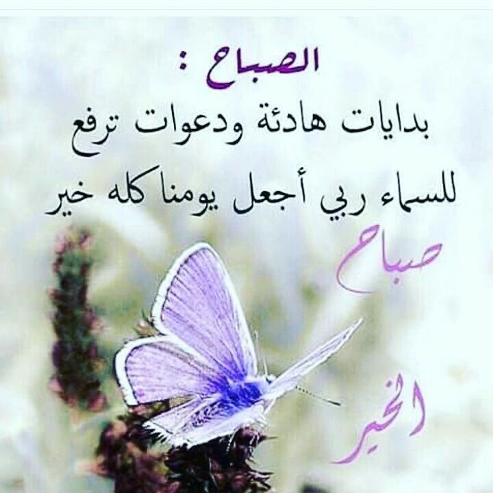 Saaamaalamal's tweet photo. اللهُم صبحنا ببشائر خيرك 
وأمدنا بوافر جودك 
وإجعل لنا مع نسمات 
هذا الصباح 
رزقاً و سعادة وعافية. https://t.co/ZgDMq21JJz
