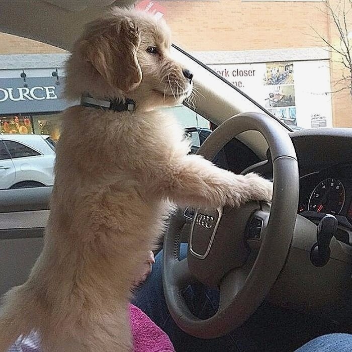 discountdogs's tweet photo. https://t.co/GQWzKJxNIv