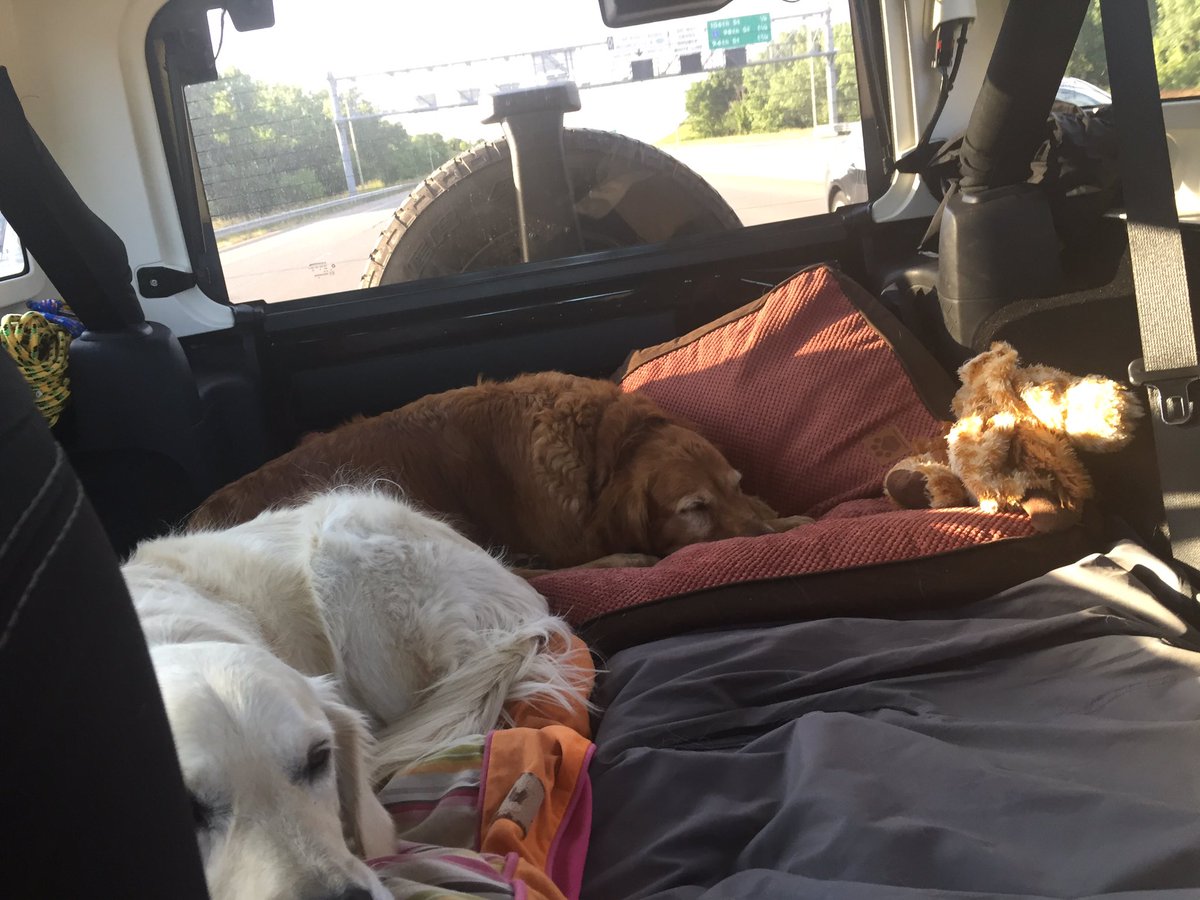LindsayGolz's tweet photo. Road trippin to the mountains #CO #libbysadventures #Coloradoherewecome https://t.co/nMjweQJslD
