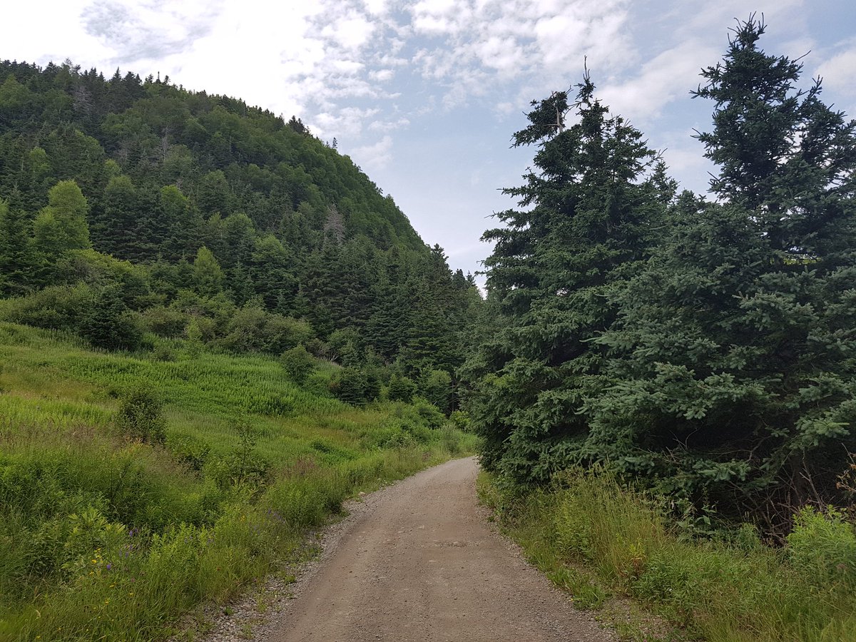 BetweenSunsets's tweet photo. #Newfoundland makes my soul blossom.
#thegreattrail #hikeacrosscanada #outdoorlife #betweensunsets #explorecanada #gooutside #canada150 https://t.co/n7ShAZnaS2