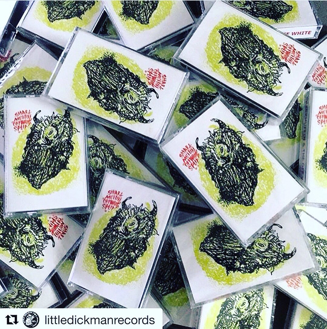 Sharkmuffin tweet media