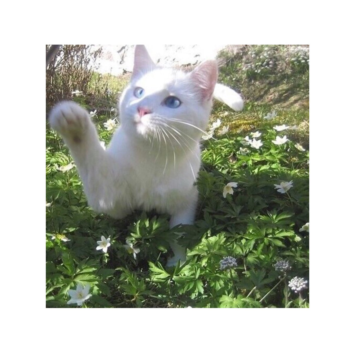 gdrsjennie's tweet photo. Our little baby.

     Azure, 2207;; https://t.co/HPDyyQ43Vl