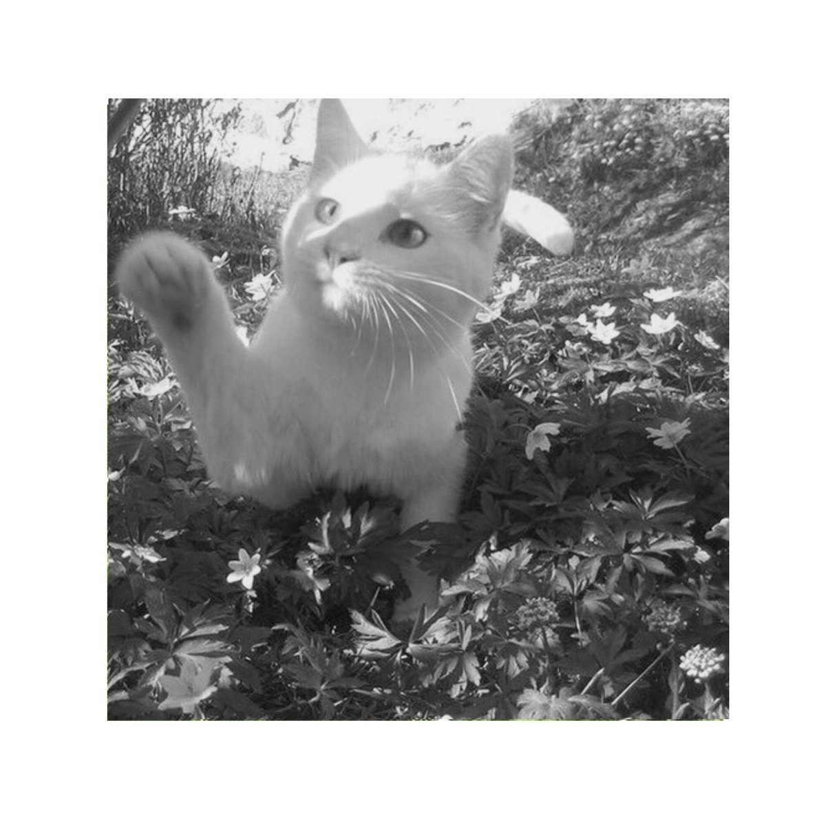 gdrsjennie's tweet photo. Our little baby.

     Azure, 2207;; https://t.co/HPDyyQ43Vl