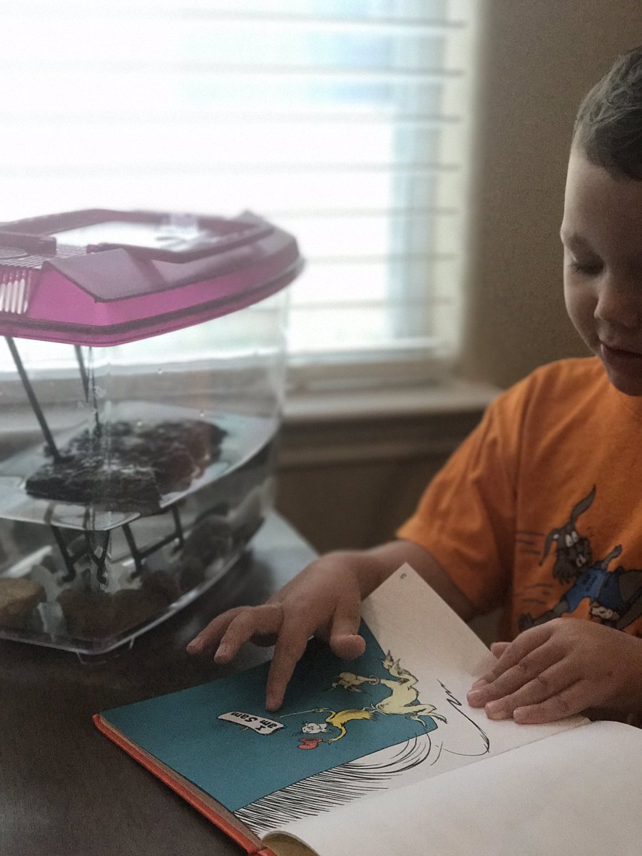 4thgradefrenzie's tweet photo. Liam is reading to #tinytheturtle !Tiny is @VikkiPrieto 's classroom pet!Stay tuned for adventures w #liamandtiny! #mcegators #bethelegacy https://t.co/1PQGUXmkKk